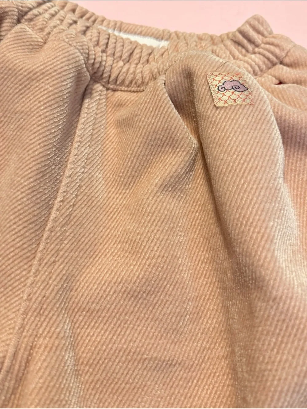 New!!   Zara Peach Super Soft Plush Corduroy Pull-On Joggers